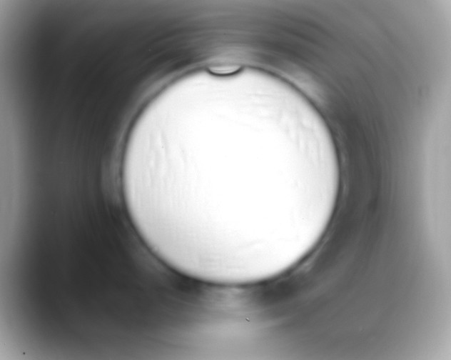 X0000088151248200706041349