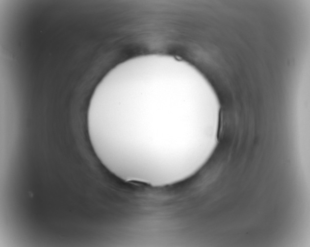 X0000088151249200706041349