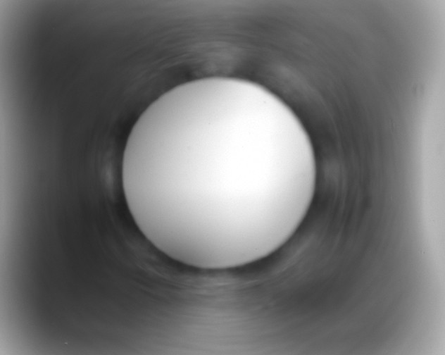 X0000088151250200706041348