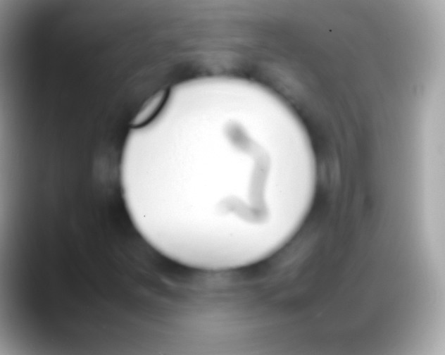 X0000088151251200706041348