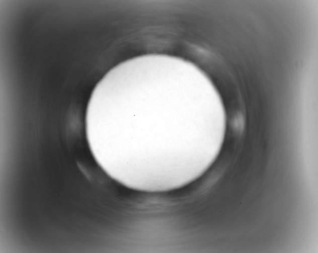 X0000088151252200706041348