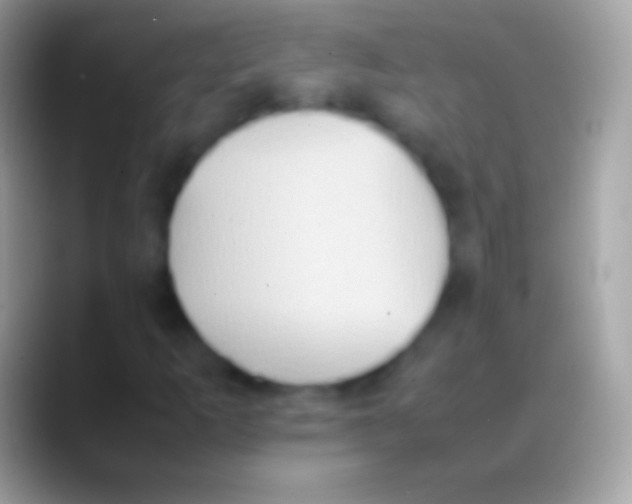 X0000088151253200706041348