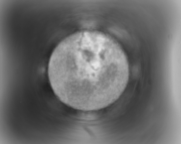 X0000088151254200706041348