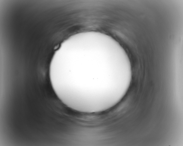 X0000088151257200706041348