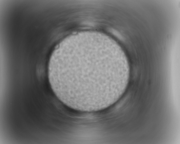 X0000088151259200706041348