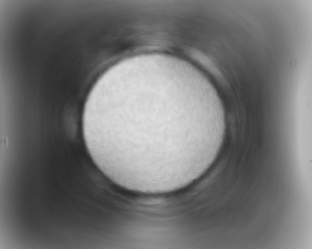 X0000088151260200706041348