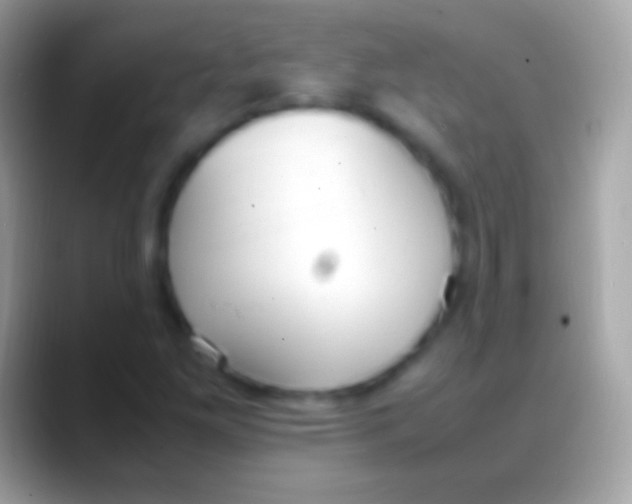 X0000088151261200706041348