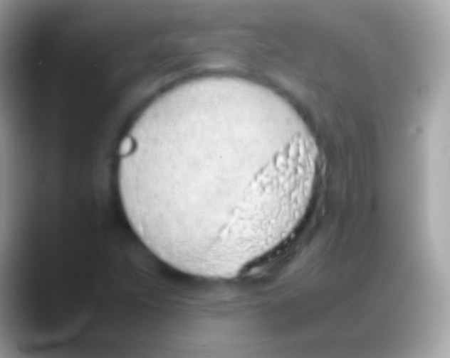 X0000088151263200706041348