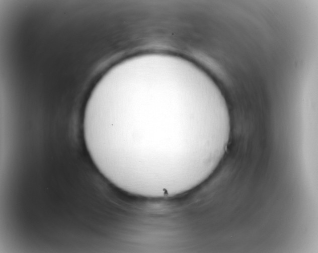 X0000088151264200706041348