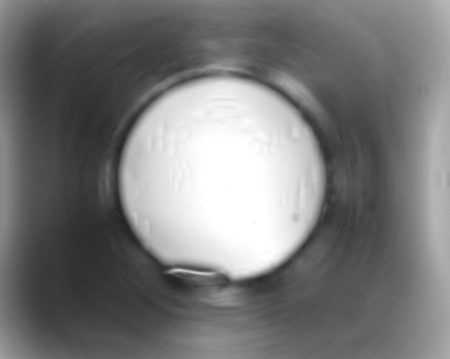 X0000088151268200706041348