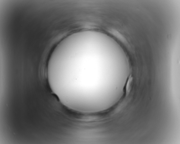 X0000088151269200706041348