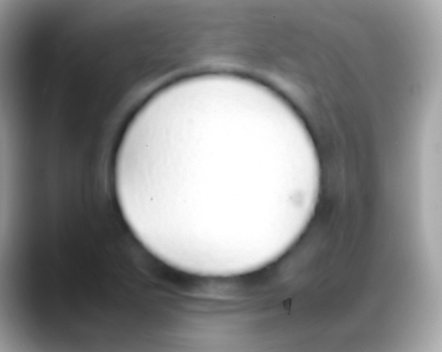 X0000088151271200706041348