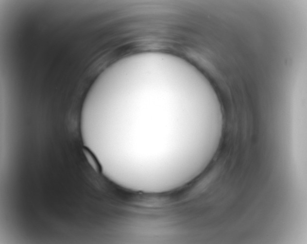 X0000088151273200706041348