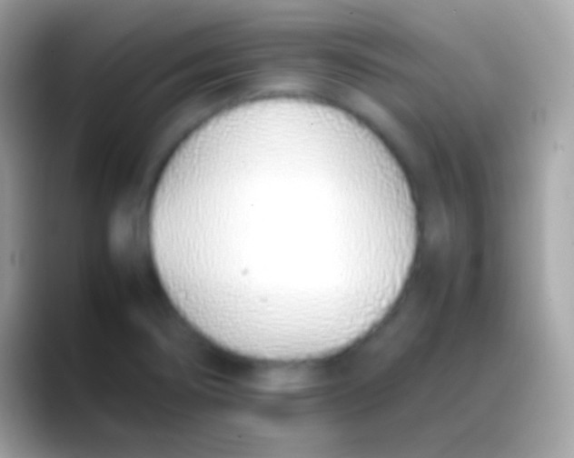 X0000088151274200706041348