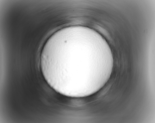 X0000088151275200706041348