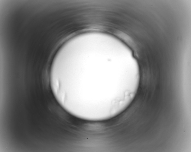 X0000088151276200706041348