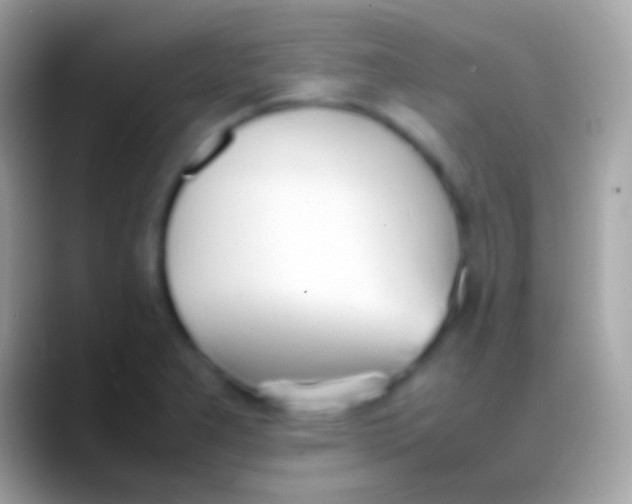 X0000088151277200706041348