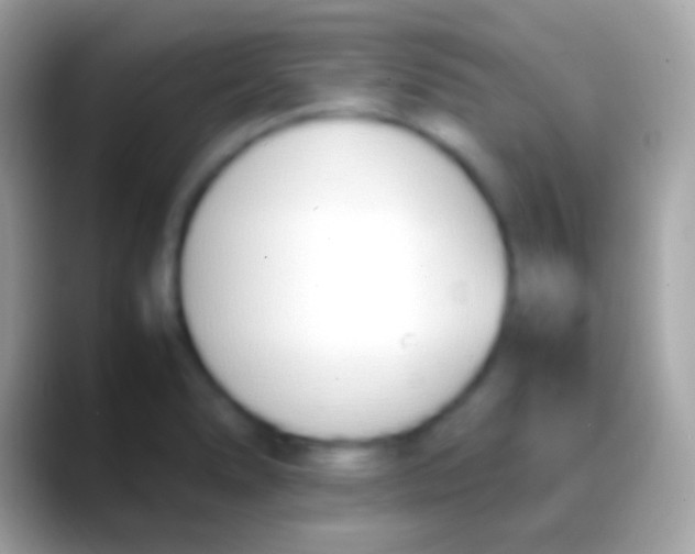 X0000088151278200706041348