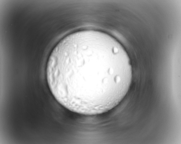 X0000088151279200706041348