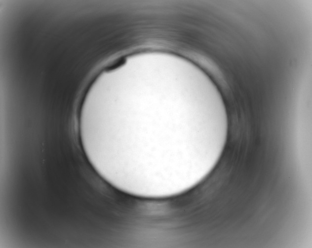 X0000088151280200706041348