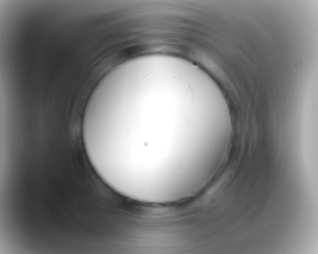 X0000088151281200706041348