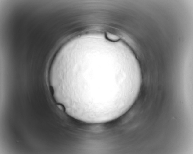 X0000088151283200706041348