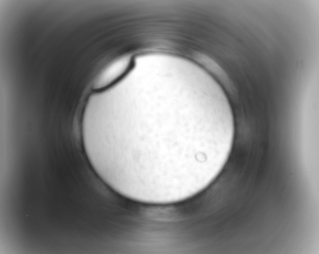 X0000088151284200706041348