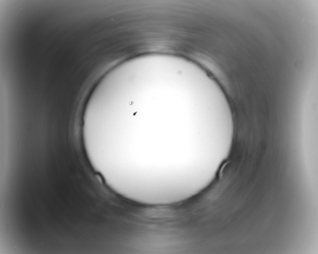 X0000088151285200706041348