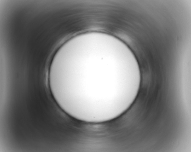 X0000088151286200706041348