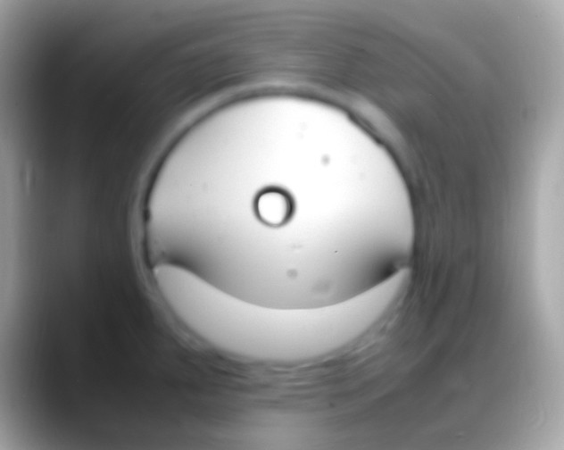 X0000088151287200706041348