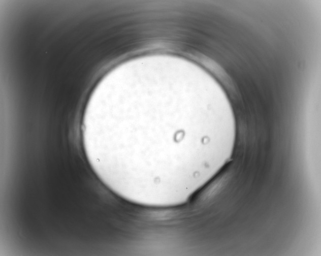 X0000088151288200706041348