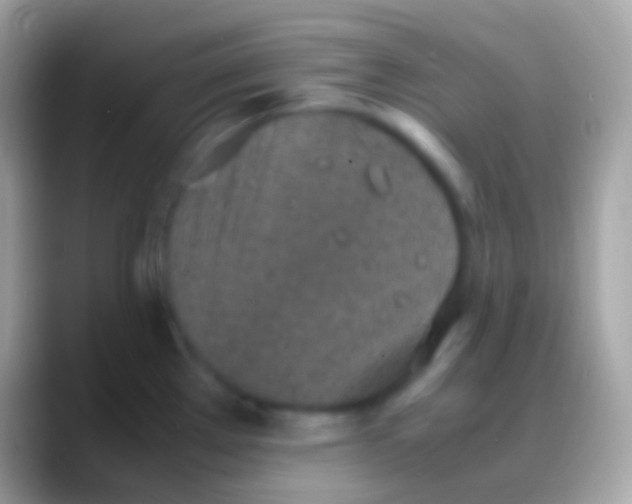 X0000088151289200706041348