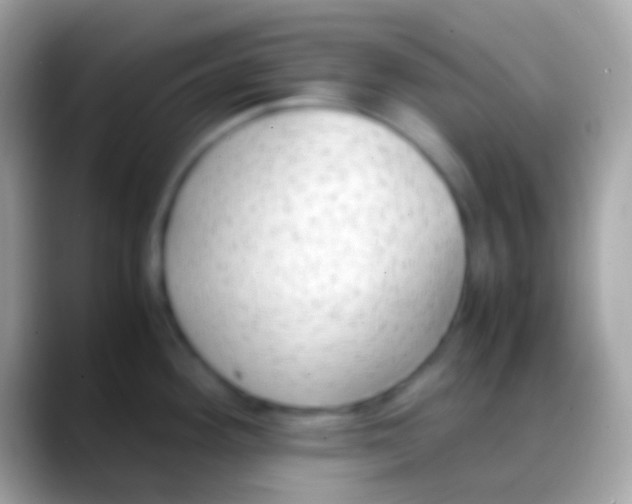 X0000088151292200706041348