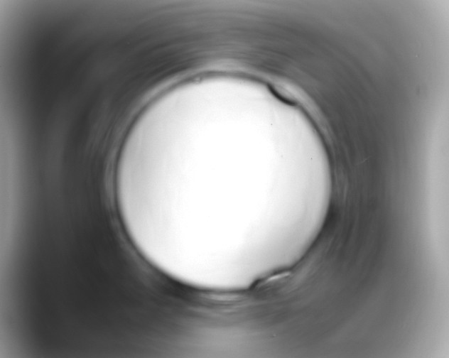 X0000088151295200706041348