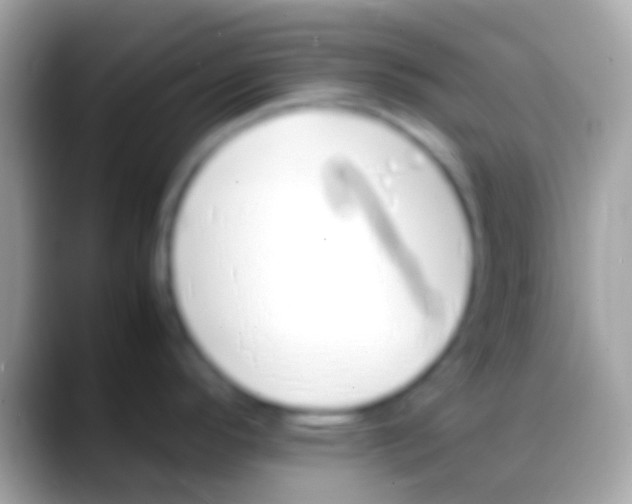 X0000088151296200706041348