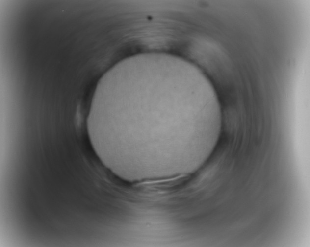 X0000088151298200706041347