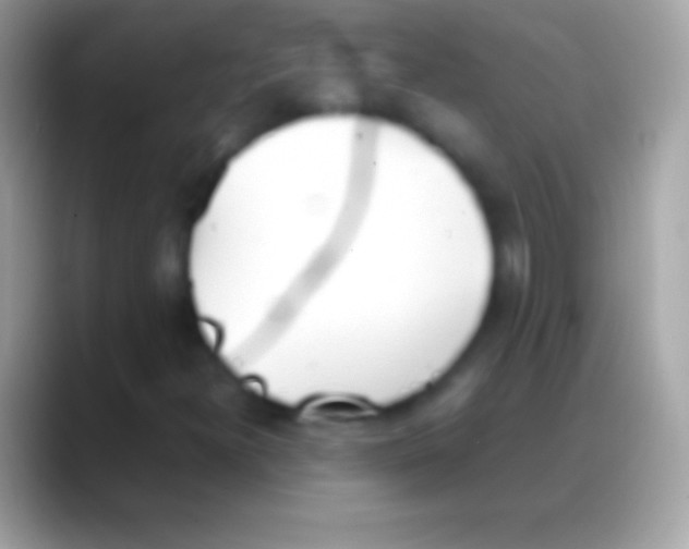 X0000088151300200706041347