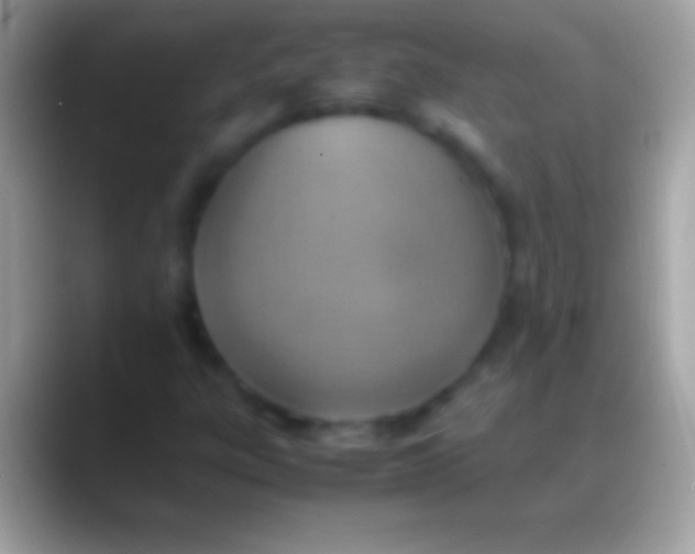 X0000088151303200706041347