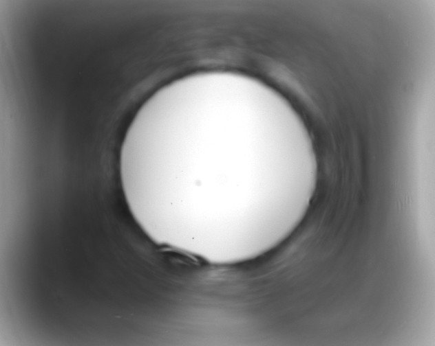 X0000088151304200706041347