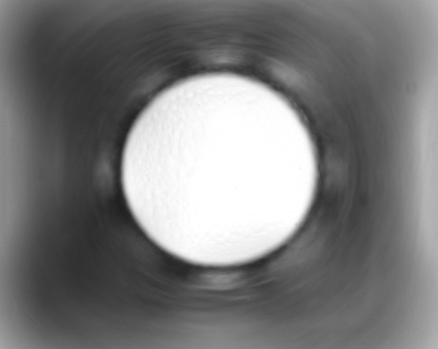 X0000088151305200706041348