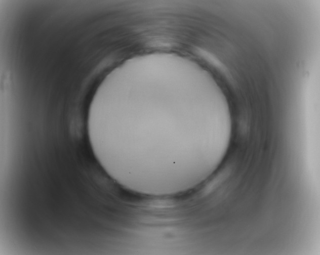 X0000088151306200706041348