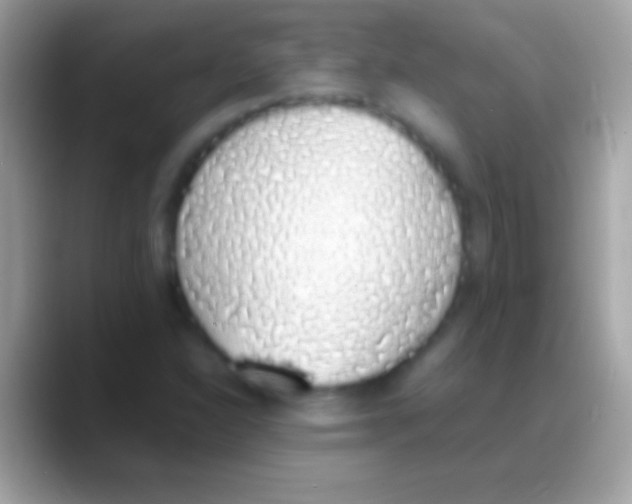 X0000088151310200706041348