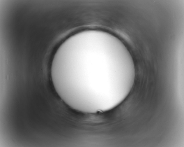 X0000088151311200706041348