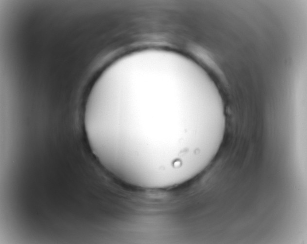 X0000088151312200706041348