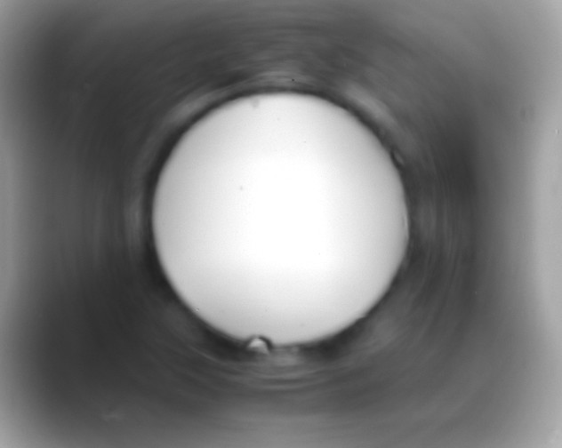 X0000088151315200706041348