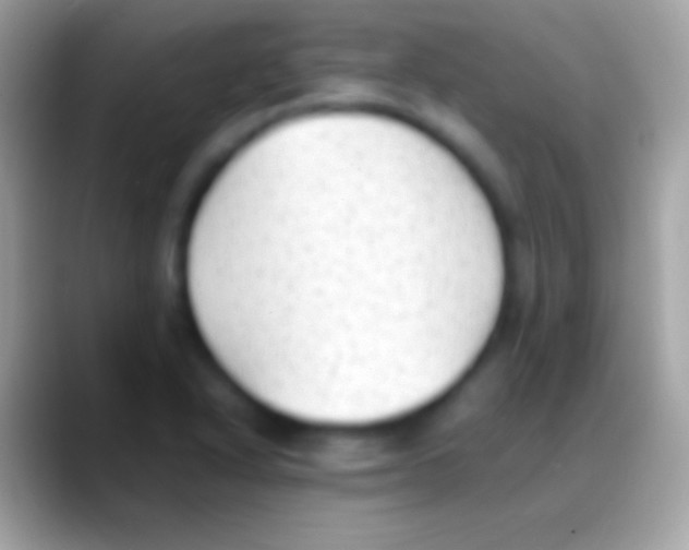 X0000088151318200706041348