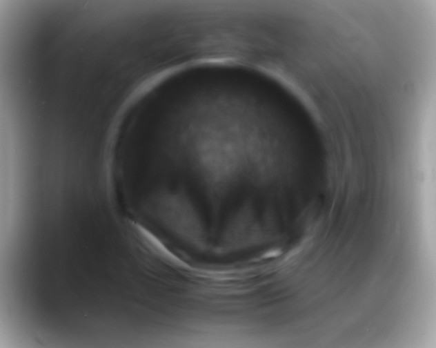 X0000088151319200706041348