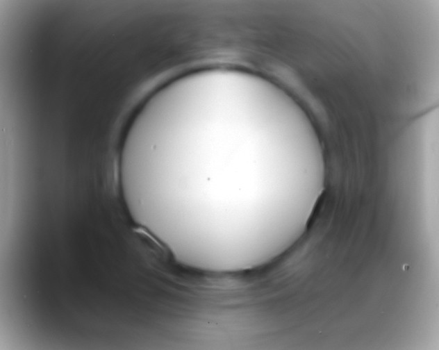 X0000088151320200706041348