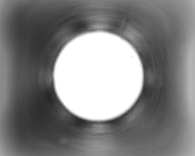 X0000088151322200706041348