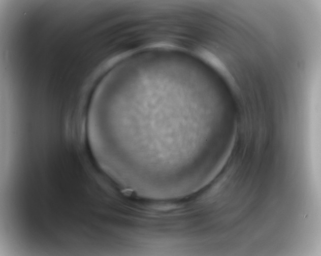 X0000088151323200706041348